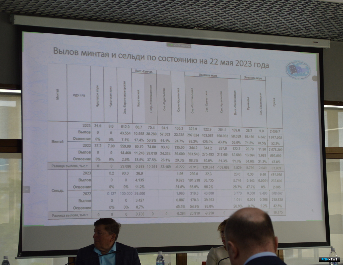 Вылов минтая и сельди на 22 мая 2023 г.