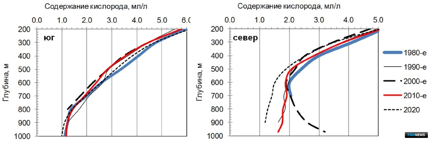 Среднедекадные профили содержания растворенного кислорода на станциях с глубиной более 500 м в южной (52–55 град. с.ш. 152–155 град. в.д.) и северной (55–58 град. с.ш. 152–155 град. в.д.) частях нерестилища черного палтуса на континентальном склоне Камчатки
