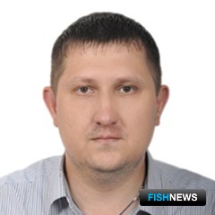 Капитан Алексей ГОЛУБЕВ