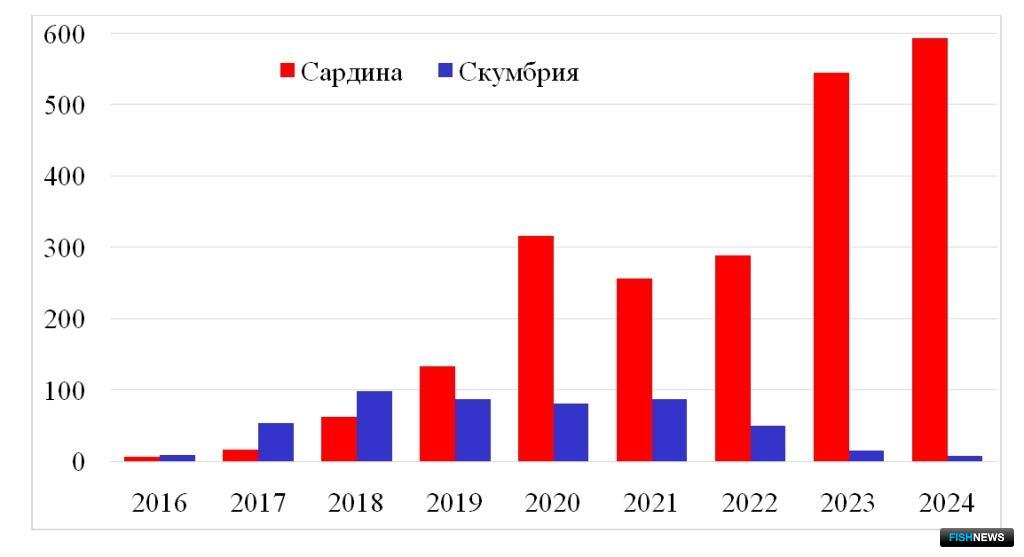 Вылов сардины-иваси и скумбрии российскими рыбаками в 2016-2024 гг. Иллюстрация с сайта ТИНРО