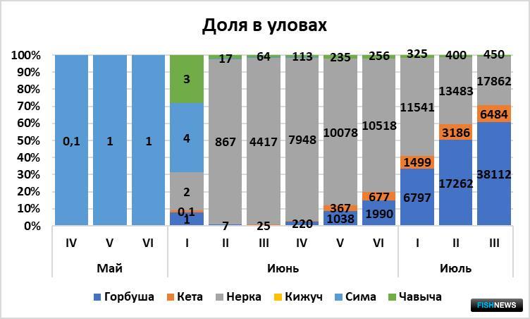 Соотношение тихоокеанских лососей в уловах. Для III пятидневки июля вылов приведен на 17 июля 2022 г.