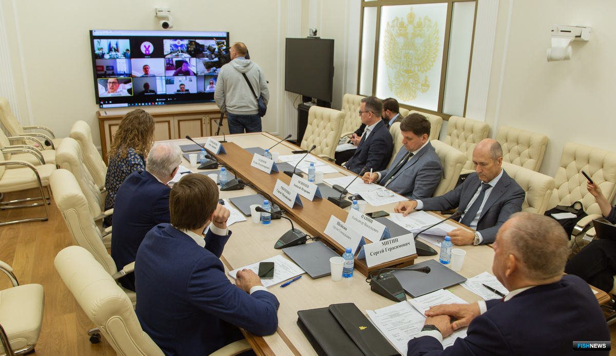 Многие участники совещания выступили по видеосвязи