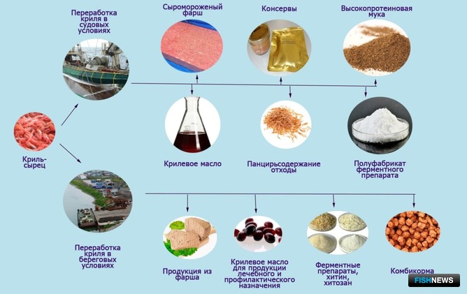 Пищевая, кормовая и техническая продукция из криля