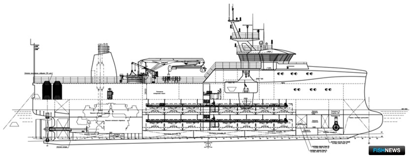 Проект СКС57 «Кунашир»