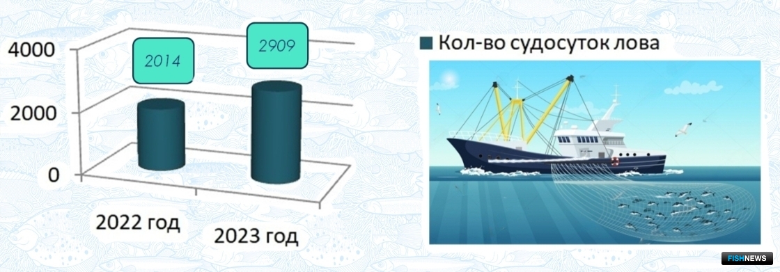 Количество судосуток лова (2022-2023 гг.)