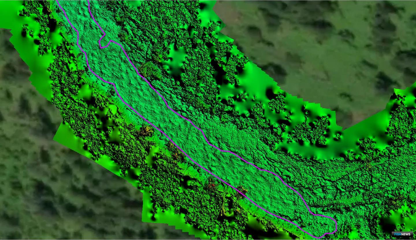 Цифровые модели микрорельефа дна водотока в настольной ГИС QGIS с векторизованными нерестовыми буграми