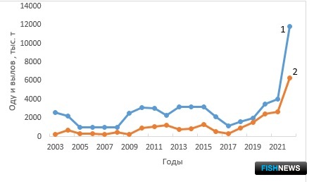 Рис. 3. Динамика ОДУ (1) и вылова минтая (2) у западного Сахалина в 2003-2022 гг.