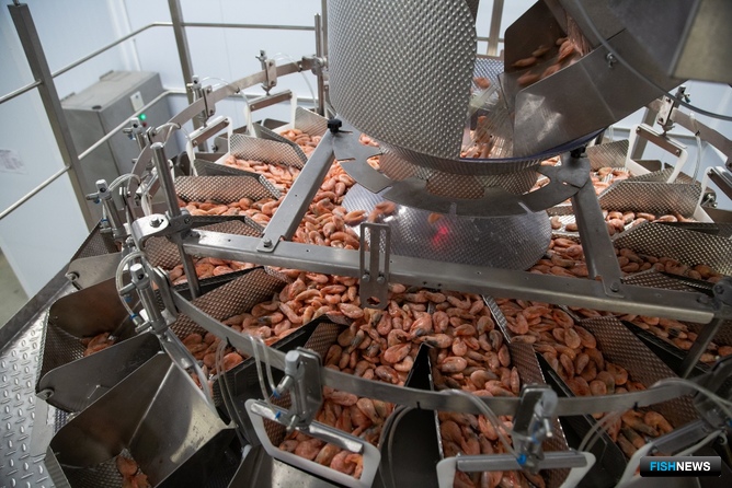Креветка – богатый витаминами и микроэлементами морепродукт