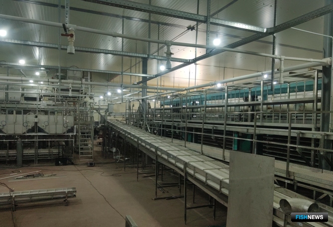 С запуском нового завода «Корякморепродукт» удвоил производственные мощности и получил единый комплекс с потенциалом для углубления переработки