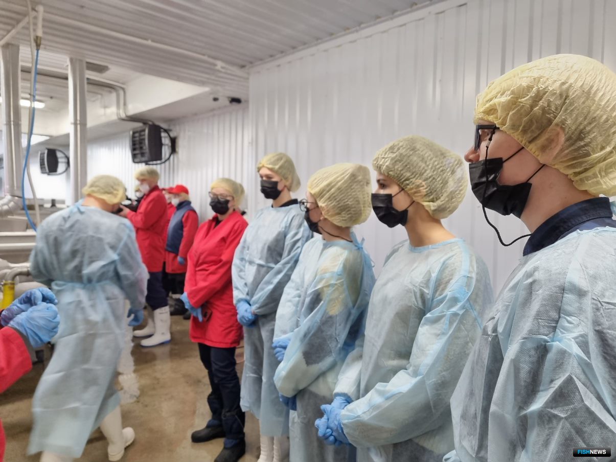 О производстве, обработке и хранении рыбной продукции школьникам рассказали на фабрике «Полярное море+»