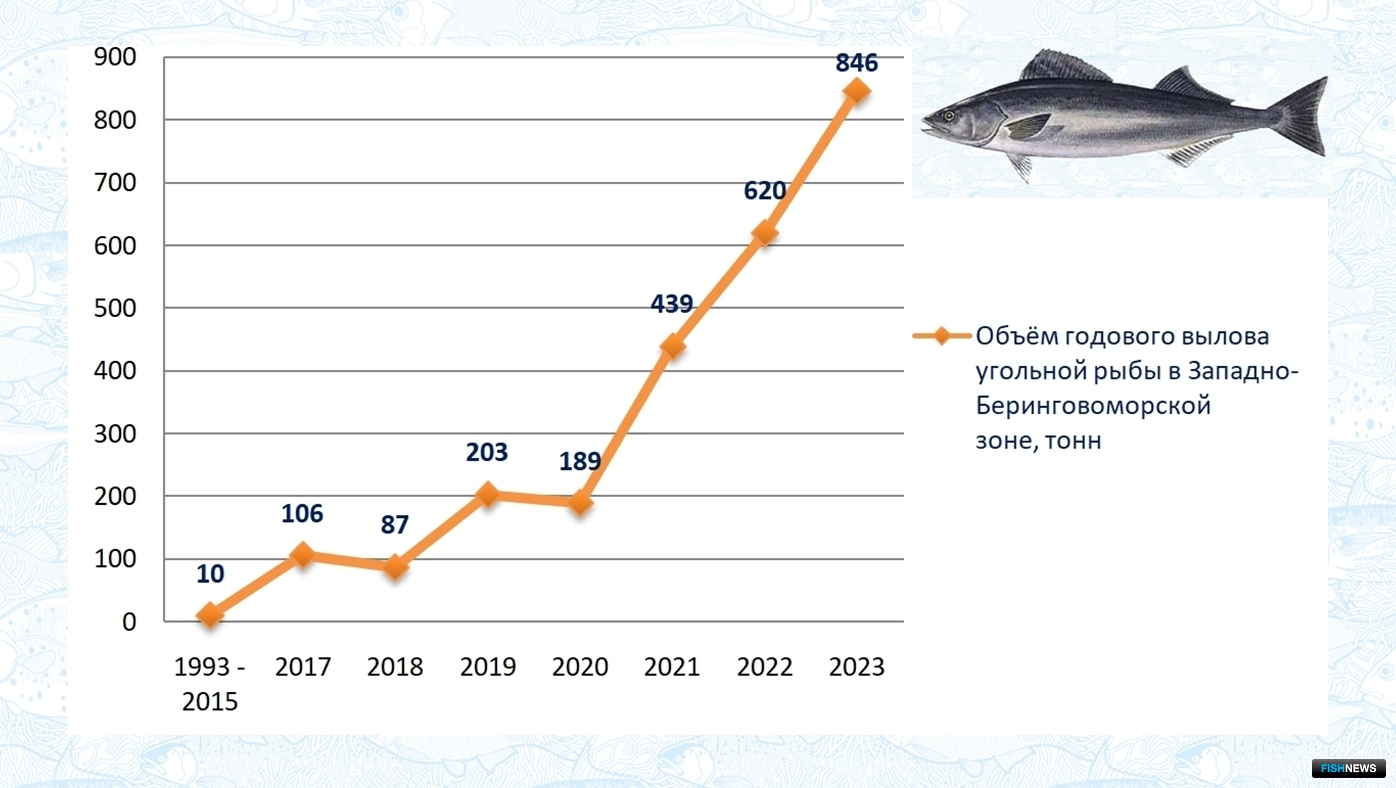 Динамика вылова угольной рыбы в Западно-Беринговоморской зоне (1993-2023 гг.), тонн
