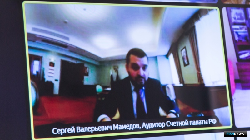 Аудитор Счетной палаты Сергей МАМЕДОВ