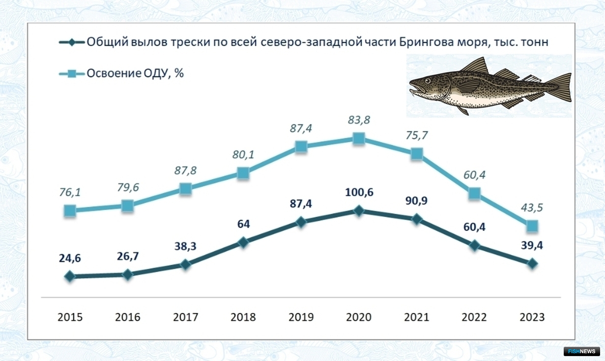 Динамика вылова трески в северо-западной части Берингова моря (2015-2023 гг.)