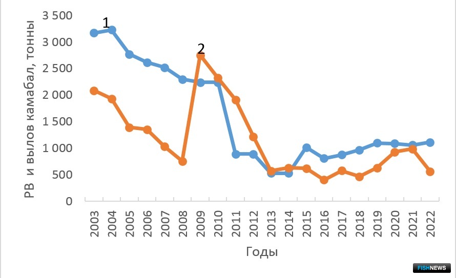 Рис. 6. Динамика РВ (1) и вылова камбал (2) у Западного Сахалина в 2003-2022 гг.