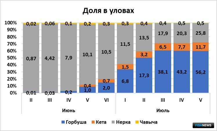 Соотношение тихоокеанских лососей в уловах в июне-июле
