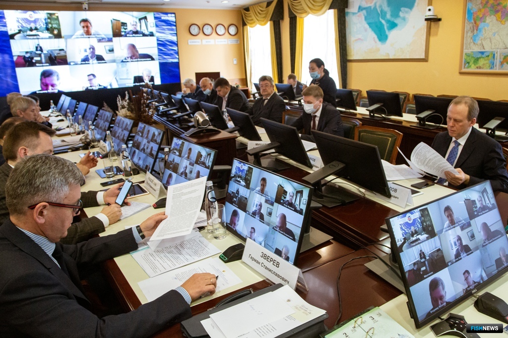 Предложение по «лососевой» экологической экспертизе рассмотрели на заседании Общественного совета при Росрыболовстве