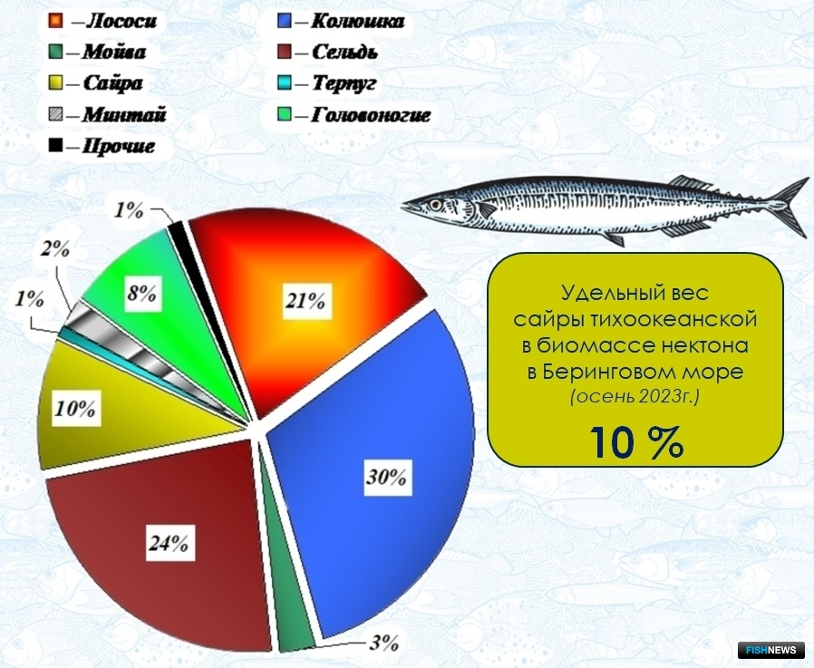 Состав нектонного сообщества (без медуз) в Беринговом море (сентябрь – начало октября 2023 г.)