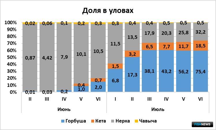 Соотношение тихоокеанских лососей в уловах в июне-июле 2022 г.