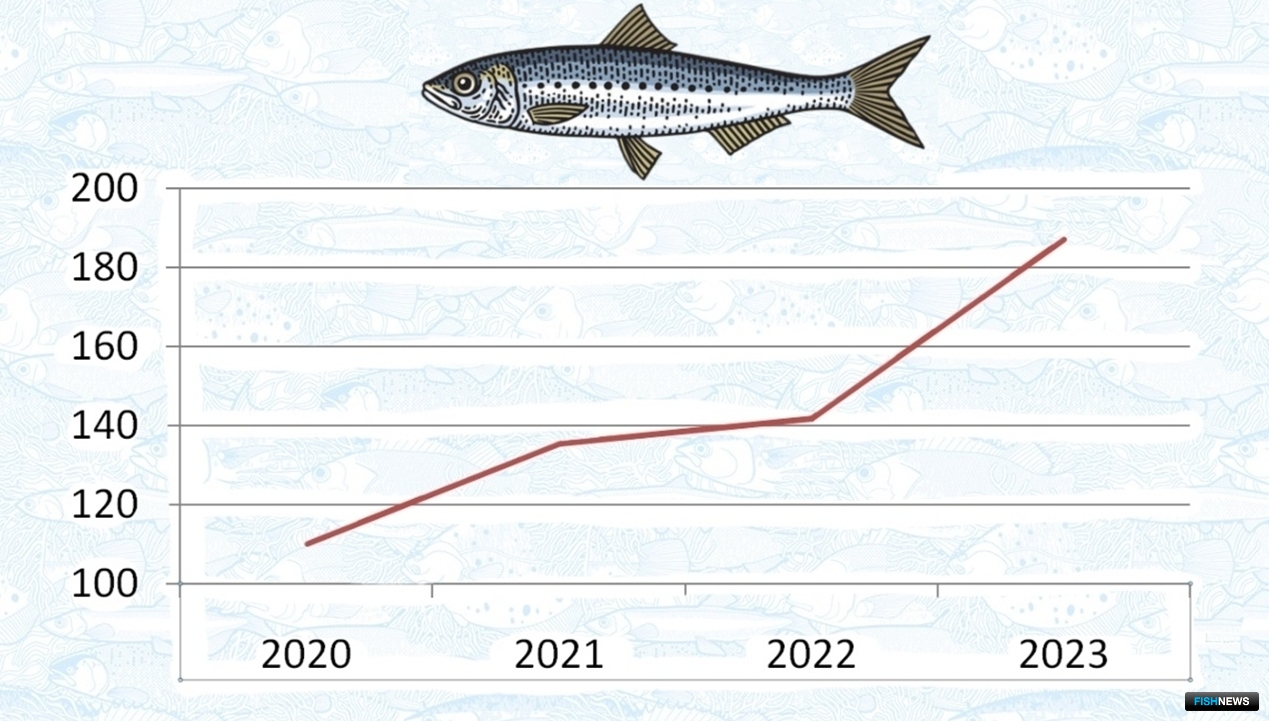 Динамика среднего вылова сардины-иваси на судно в сутки (2020-2023 гг.), тонн