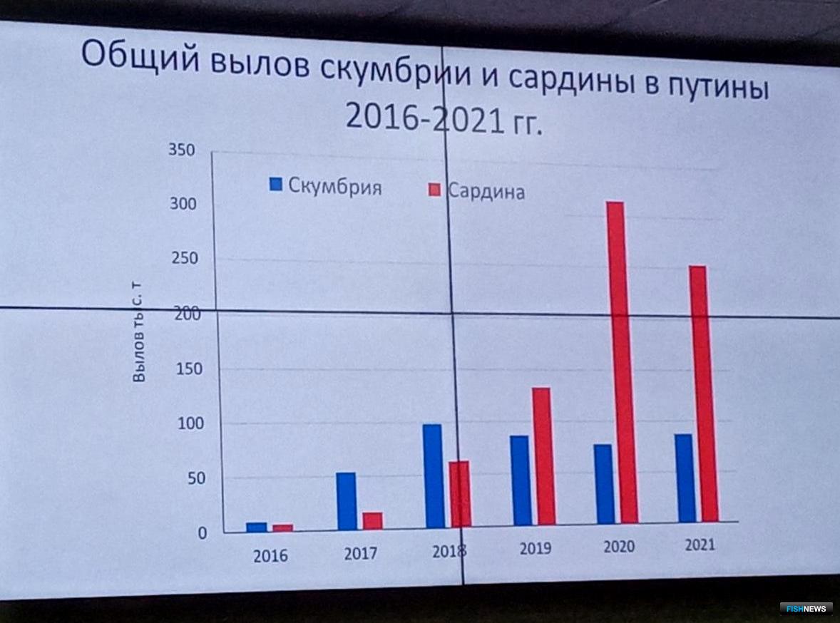 Общий вылов сардины и скумбрии