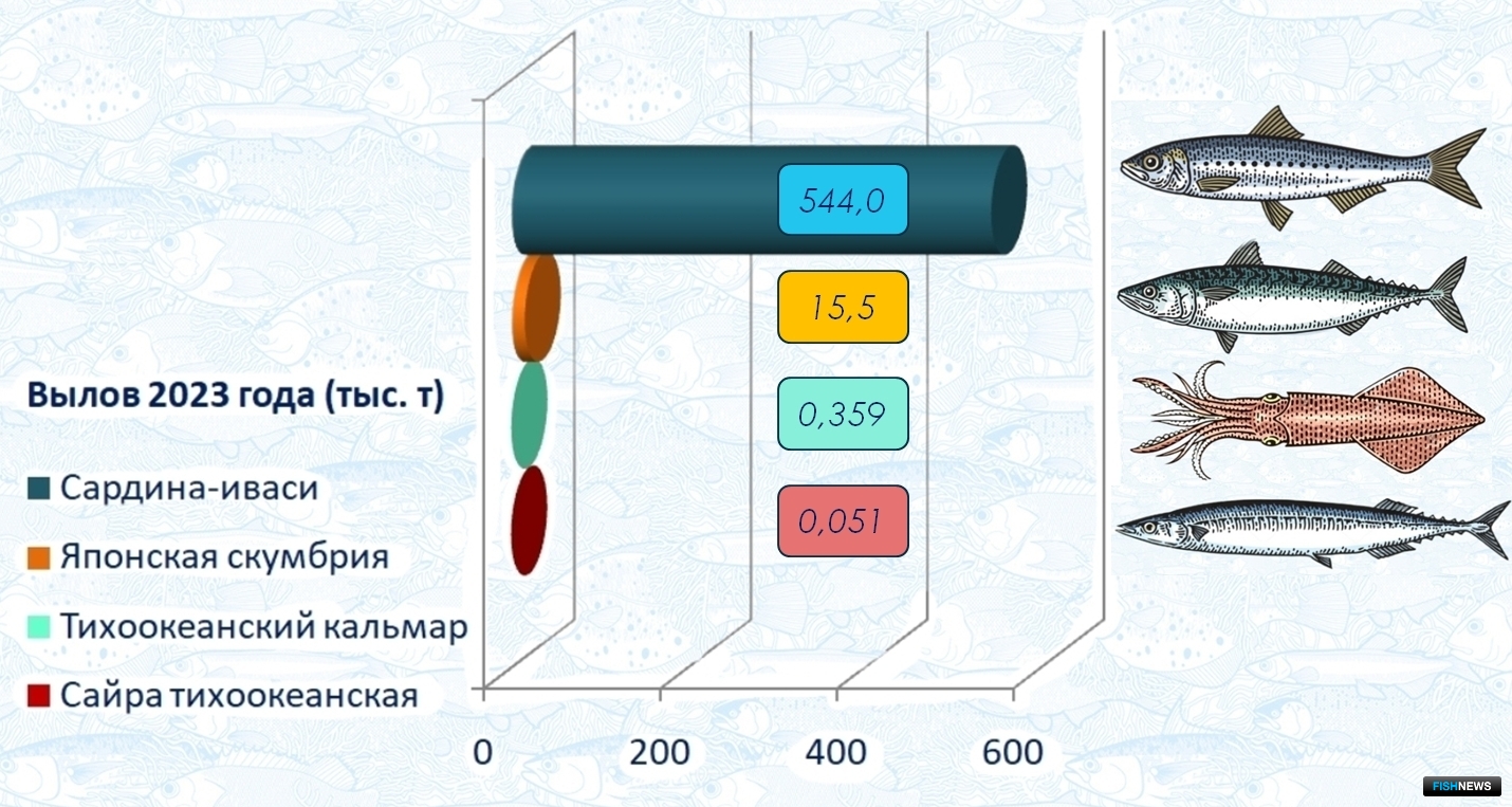 Объем вылова основных пелагических объектов в 2023 г.