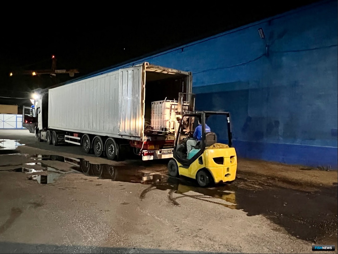 Ценный груз везли в еврокубах, наполненных водой