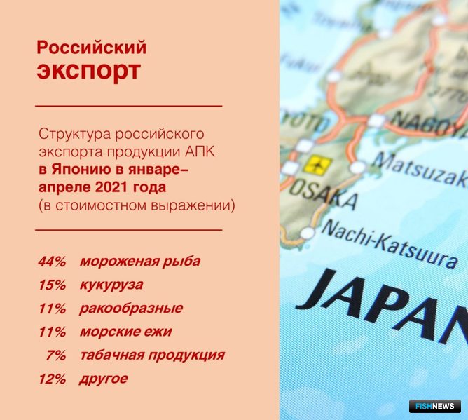 Драйвером роста стали поставки мороженой рыбы. Изображение предоставлено «Агроэкспортом»