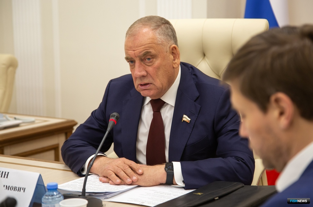 Первый зампред комитета Совфеда по аграрно-продовольственной политике и природопользованию Сергей МИТИН