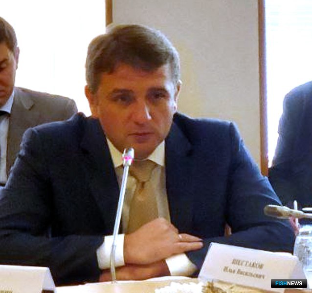 Руководитель Росрыболовства Илья ШЕСТАКОВ