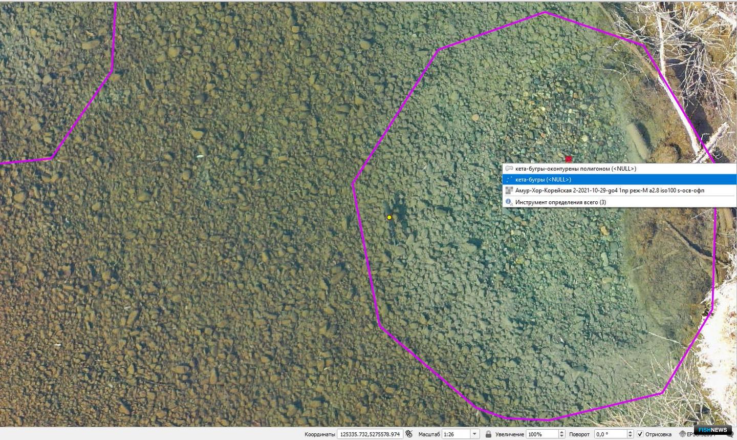 Ортофотоплан нерестилища в настольной ГИС QGIS для Windows