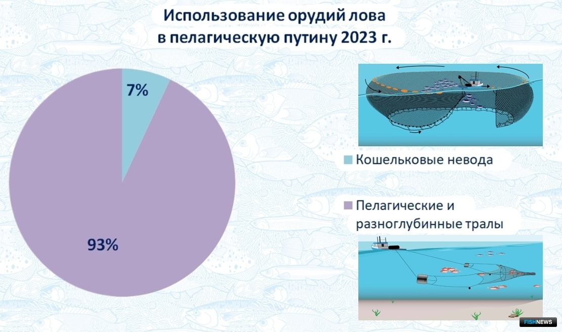 Основные орудия лова, использованные в пелагическую путину 2023 г.