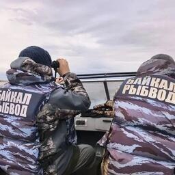 Сотрудники Байкальского филиала Главрыбвода ведут мониторинг колоний большого баклана на нерестовых путях омуля. Фото пресс-центра учреждения