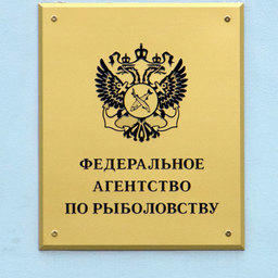 Рыба в поисках подходящего министерства