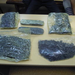 Пограничники Приморья пресекли попытку вывоза за границу более 7 кг сушеного трепанга. Фото пресс-группы погрануправления
