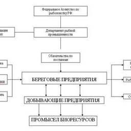 Схема интеграции рыбопромышленного комплекса