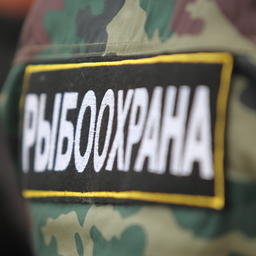 Для рыбоохраны установили индикаторы риска нарушений