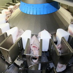 Минсельхоз готовит законопроект о российском ветконтроле за экспортом продукции животного происхождения
