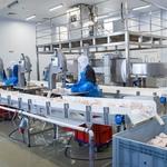 В Клину продукцию «Норебо» готовят для поставки в магазины