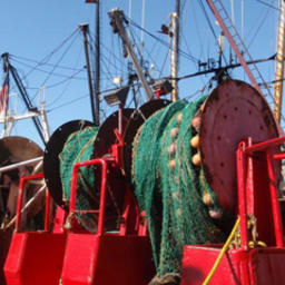 Пандемия коронавируса ударила по доходам рыбопромышленников США. Фото Seafood Source