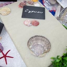 Российское сурими и другая продукция из минтая