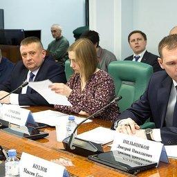 Предстоящая лососевая путина обсуждалась на совещании в Совете Федерации. Фото пресс-службы СФ