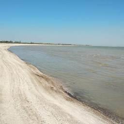 Экспедиция прошла в Таганрогском заливе в районе поселения Чумбур-Коса. Фото пресс-службы АзНИИРХ