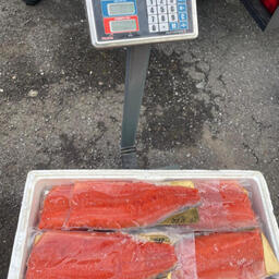 Полицейские изъяли более 11 тонн свежей и замороженной рыбопродукции. Фото пресс-службы МВД России