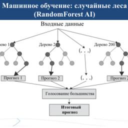 Чтобы можно было готовить прогнозы на основе многолетних данных мониторинга промысла и состояния среды обитания, специалисты обучили математическую модель типа «случайный лес». Изображение предоставлено пресс-службой АзНИИРХ