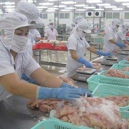 Обработка рыбы во Вьетнаме. Фото Trung Chanh, The Saigon Times