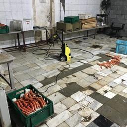Ценные гидробионты без документов обнаружили в производственном помещении одного из мясоперерабатывающих предприятий. Фото пресс-группы Пограничного управления ФСБ России по Приморскому краю