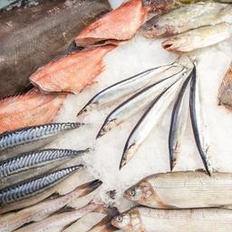 Продукцию из определенных видов водных биоресурсов планируется продавать через аукционные площадки