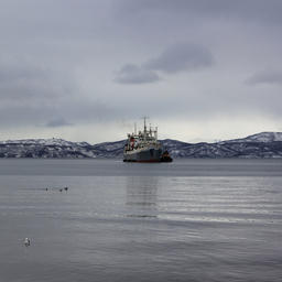 Российский морской регистр судоходства продолжает оказывать услуги в области безопасности мореплавания
