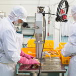 Комплекс по переработке морепродуктов в Невельске