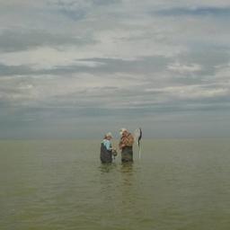 На 14 гипергалинных водоемах Алтайского края ученые провели гидробиологические съемки. Фото пресс-службы ВНИРО